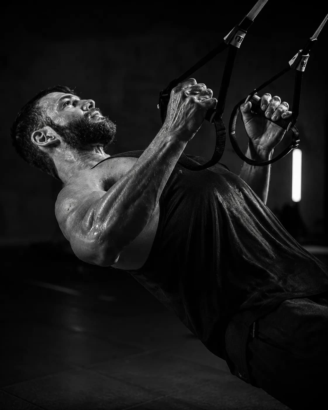 TRX Suspension